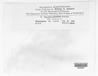 Image Associated With the Occurence